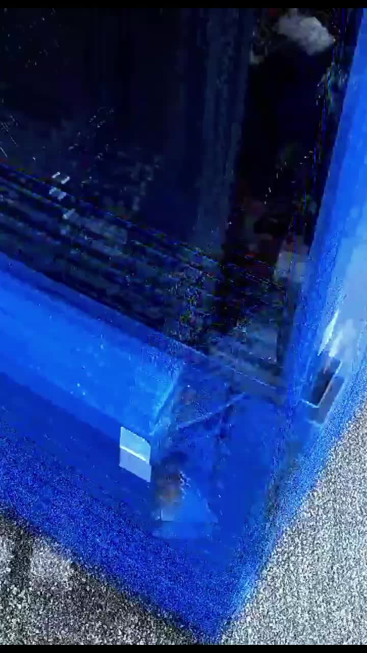 @dumpster diving