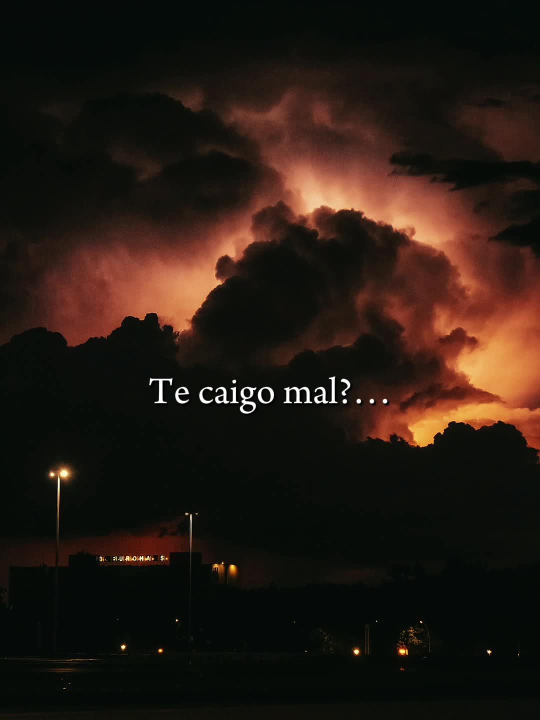 @vivi