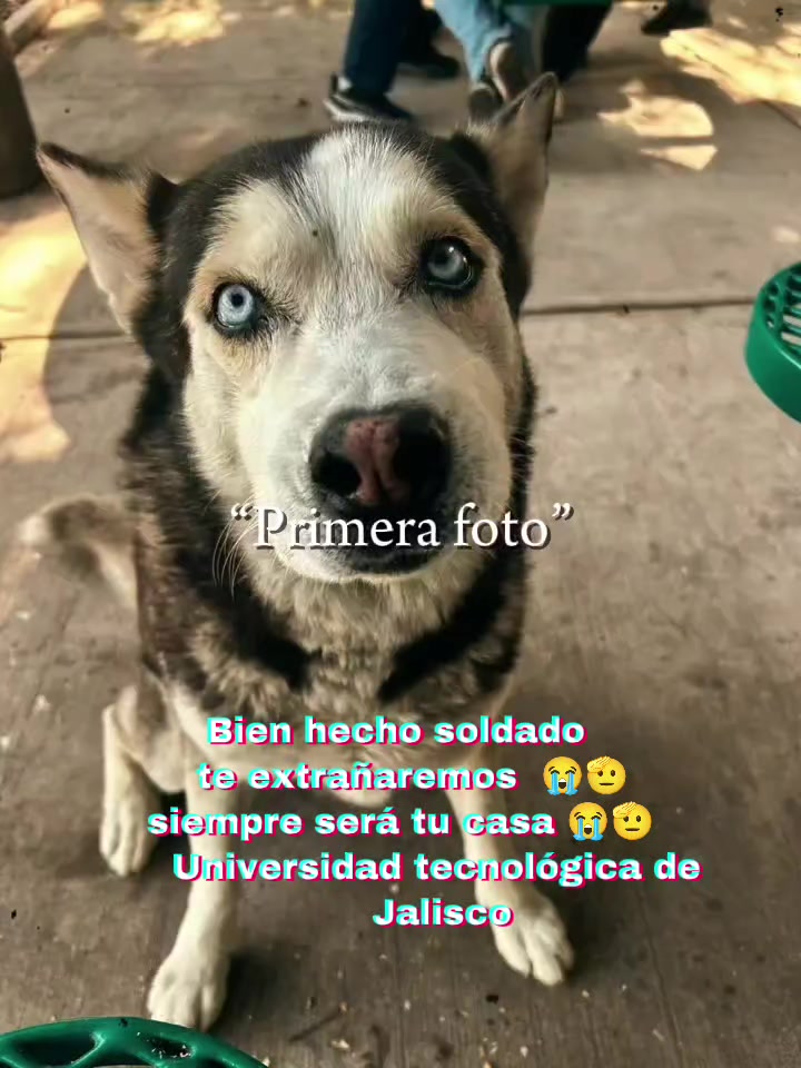 @️