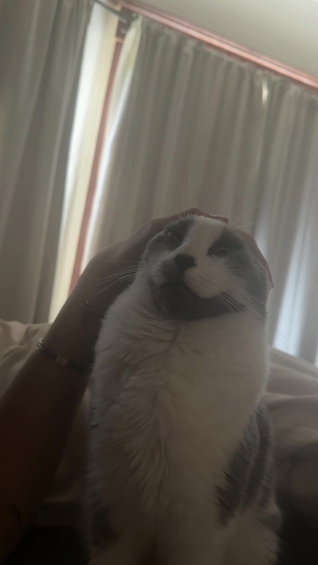 @(:̲̅:̲̅:̲̅[̲̅:♡:]̲̅:̲̅:̲̅:̲̅)