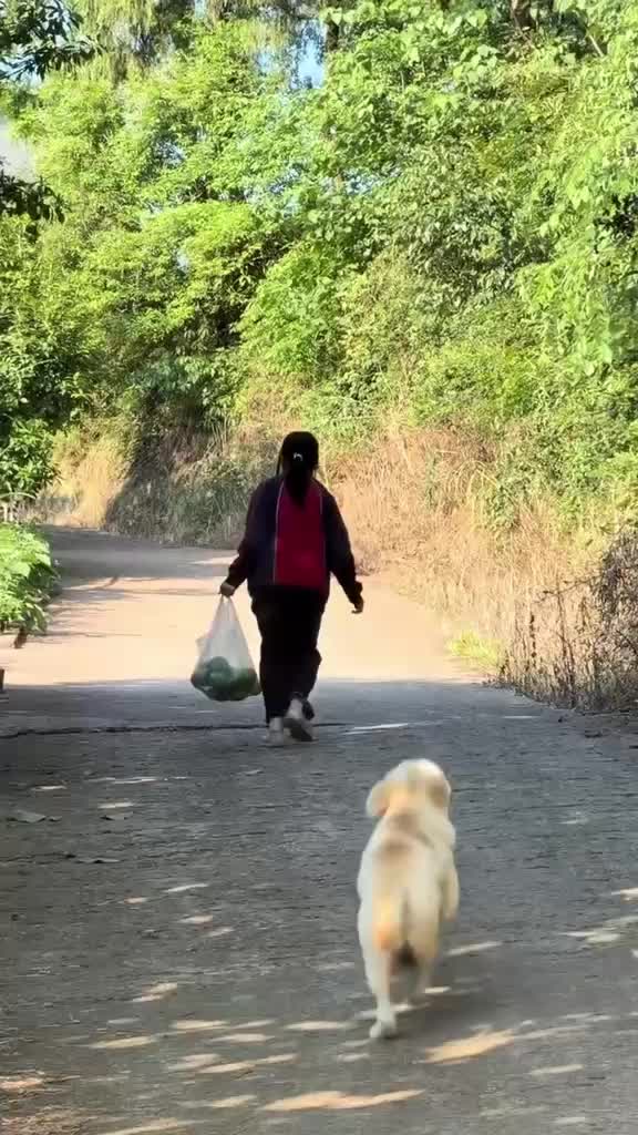@Funny