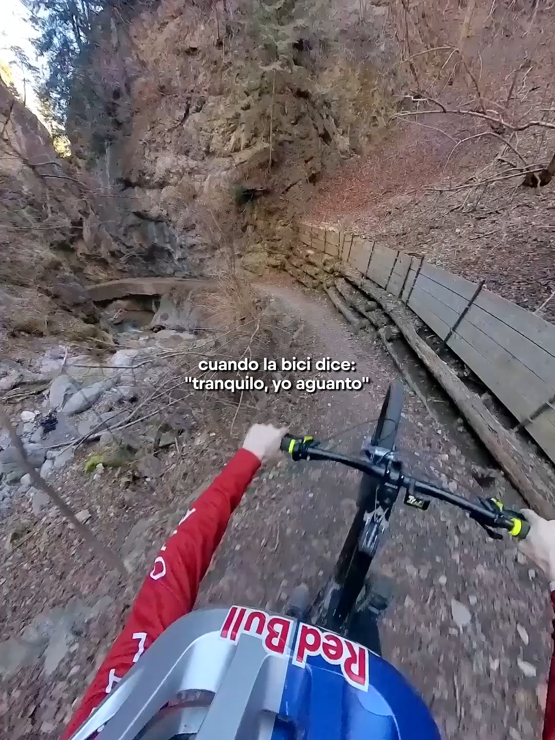 @Red Bull Latino