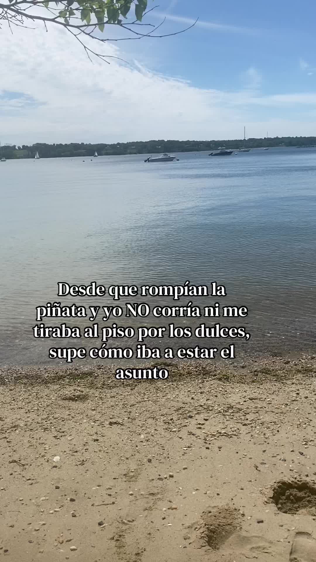 @💛Bonita_Girasol91