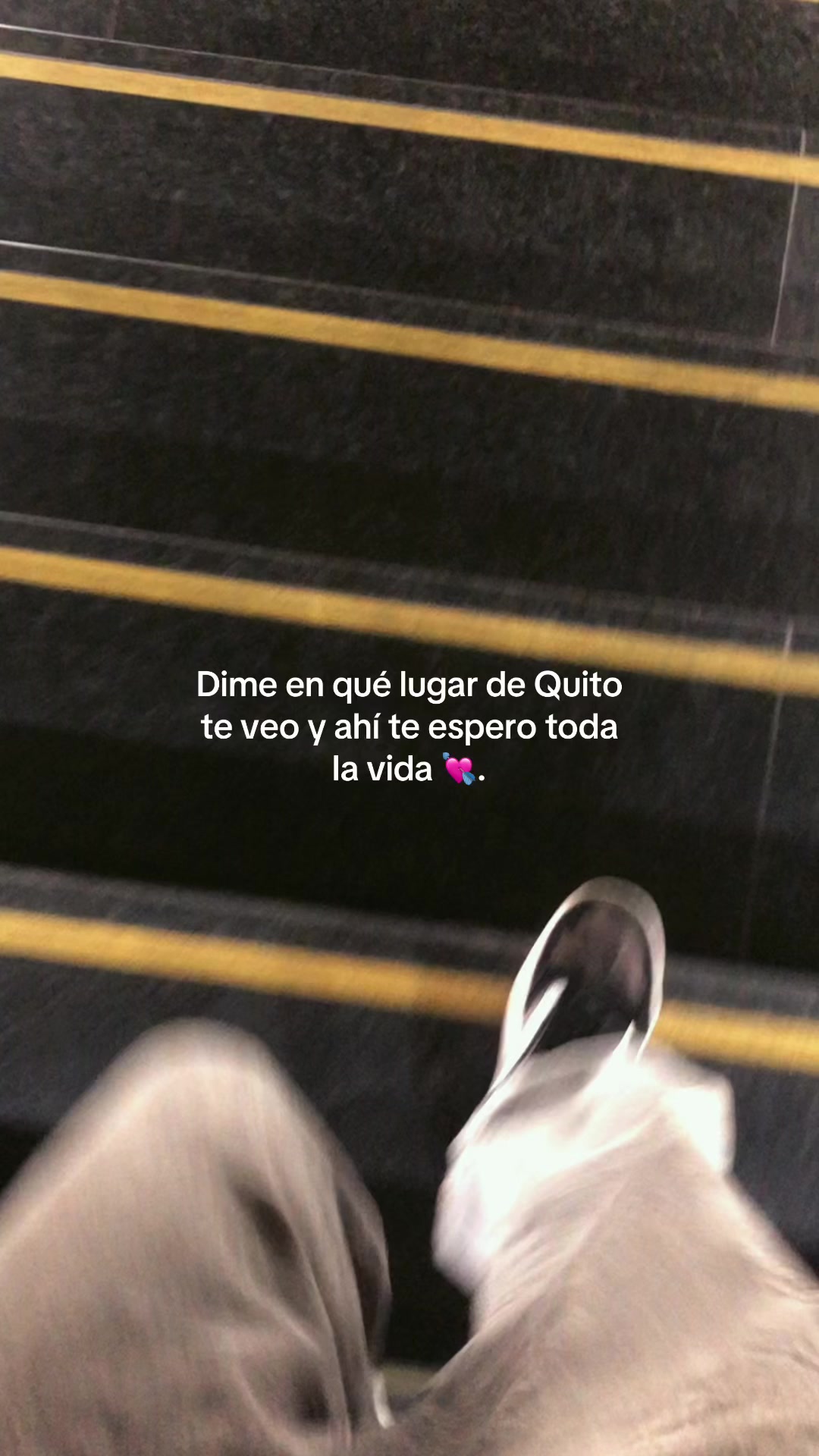 @Elking 🥷🏽.