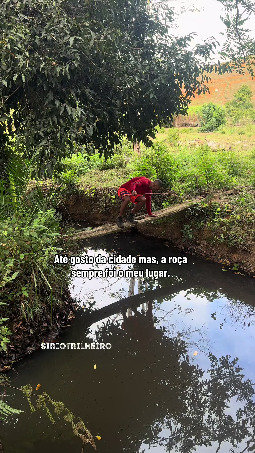 @Marcony