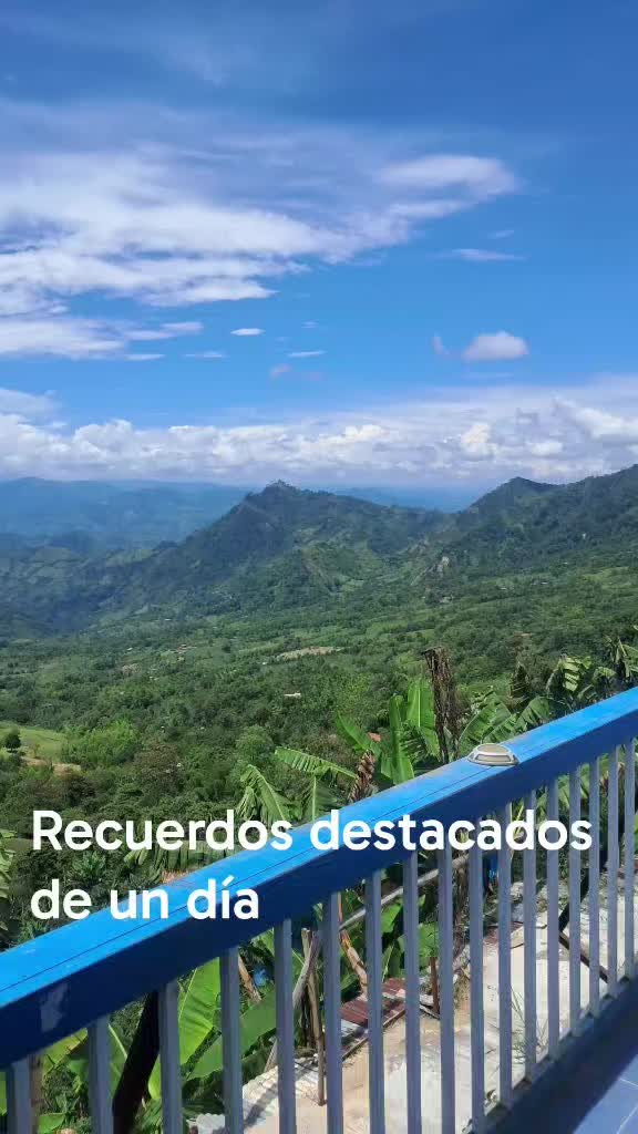@veritooo