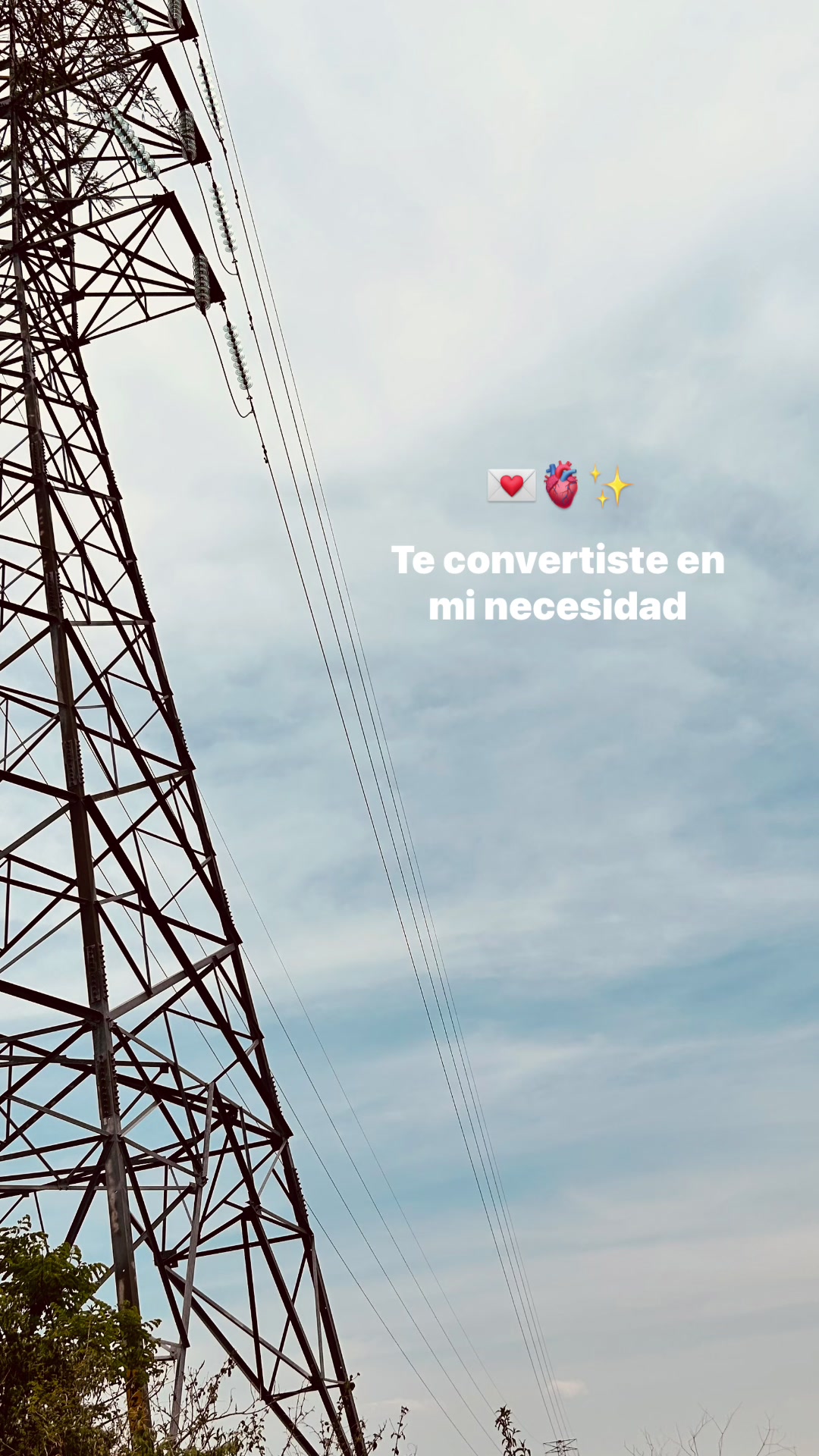 @lcia_65