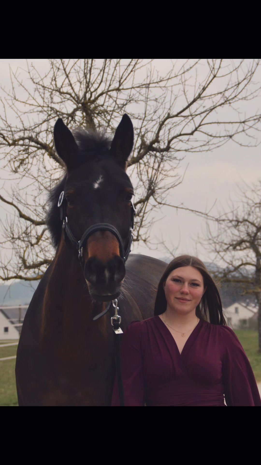 @Horses_rb_