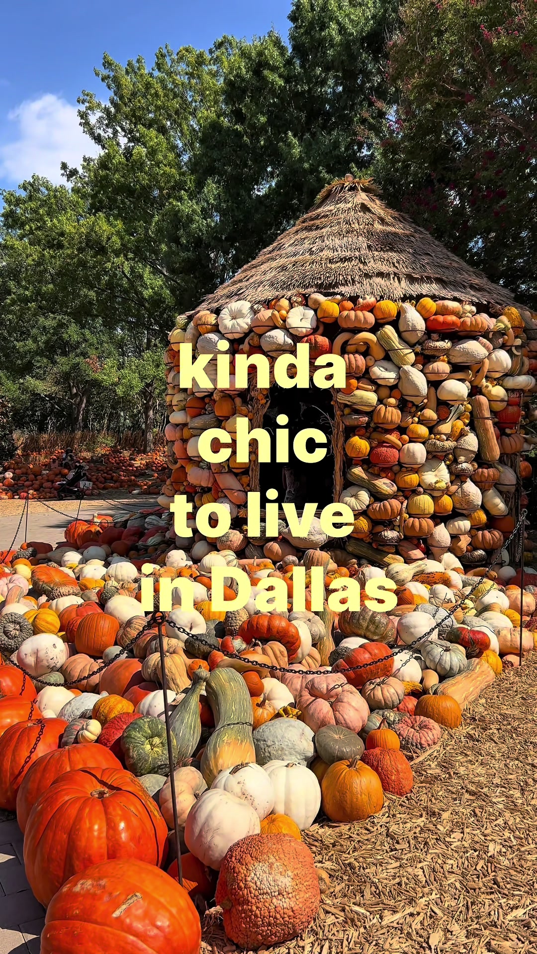 @Stephanie Camillee | Dallas ✨