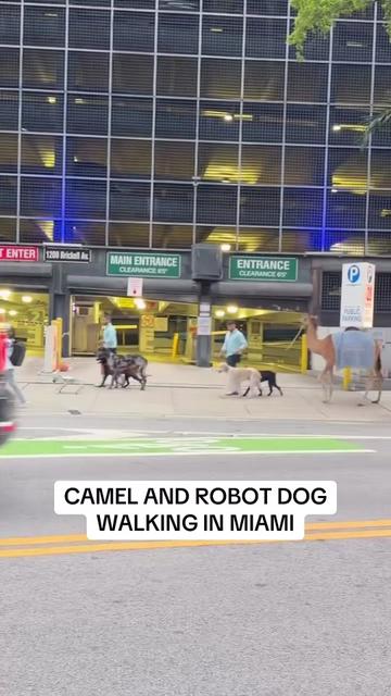 @Miami | Miami Beach