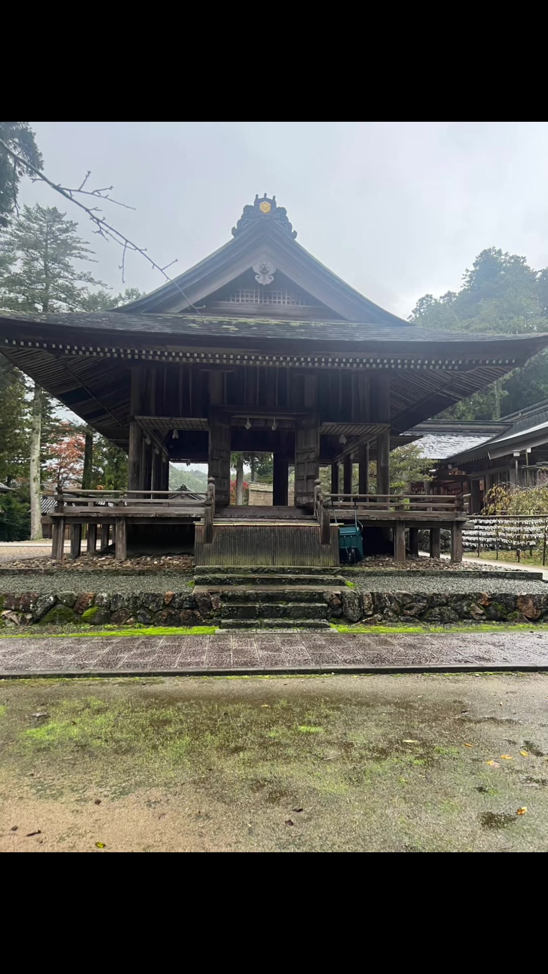 @きみ　浄化セラピスト