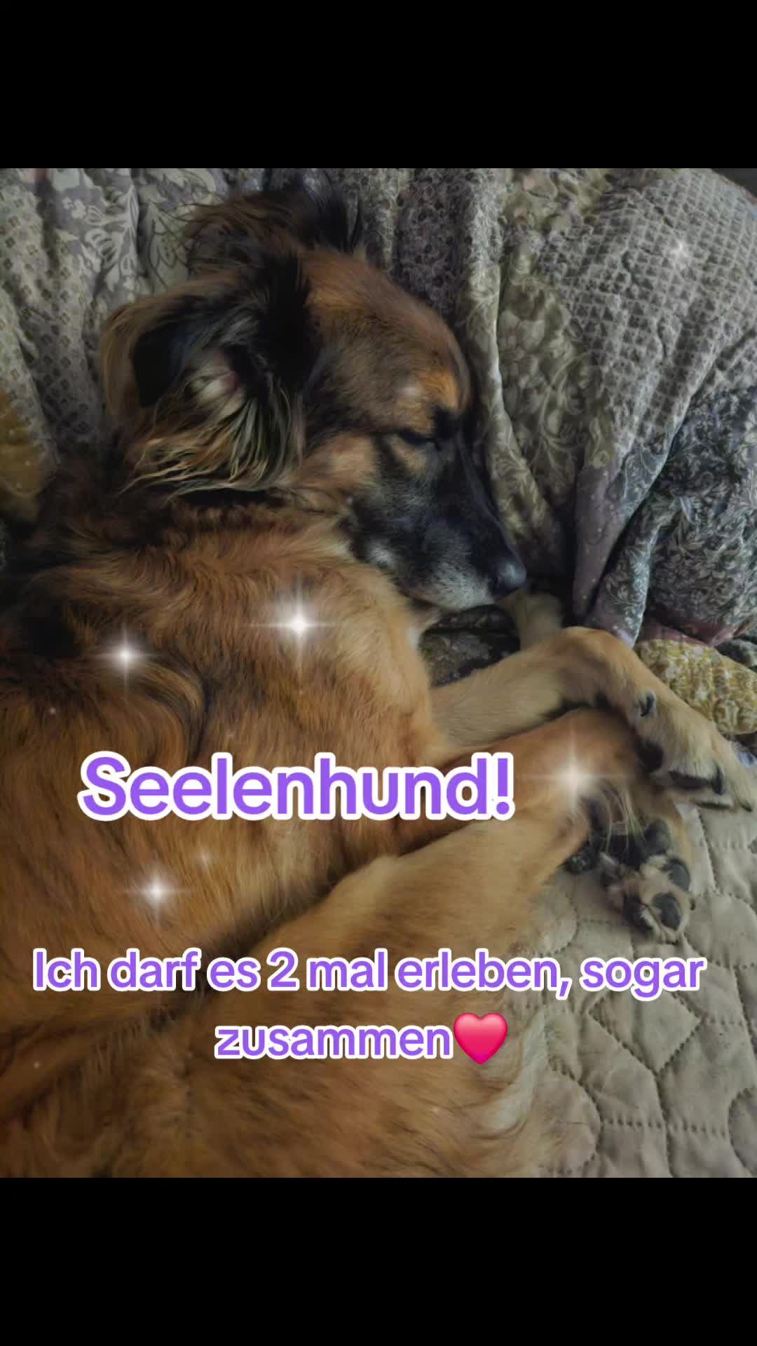 @Tinitoony