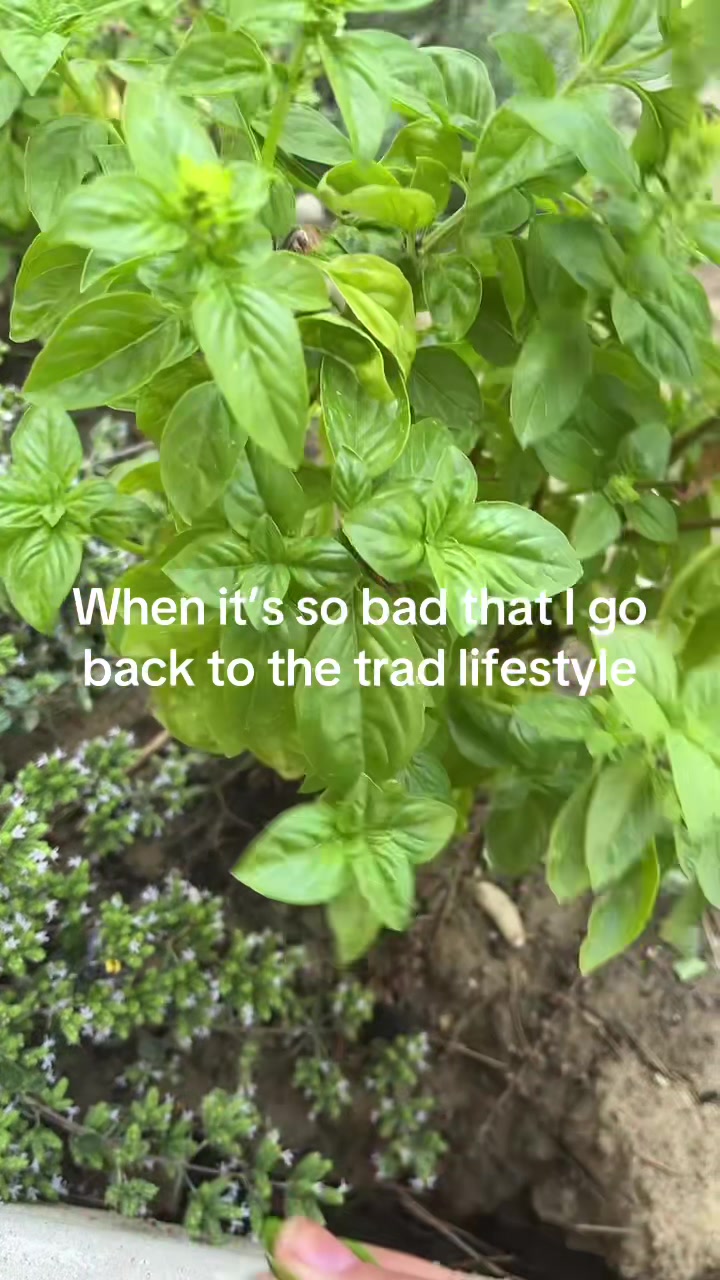 @Angelica