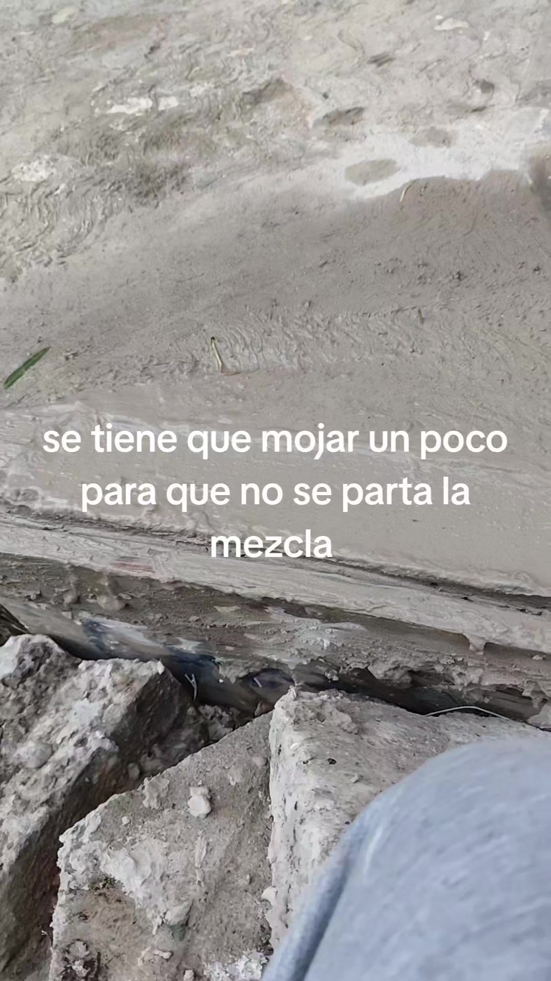 @Angy