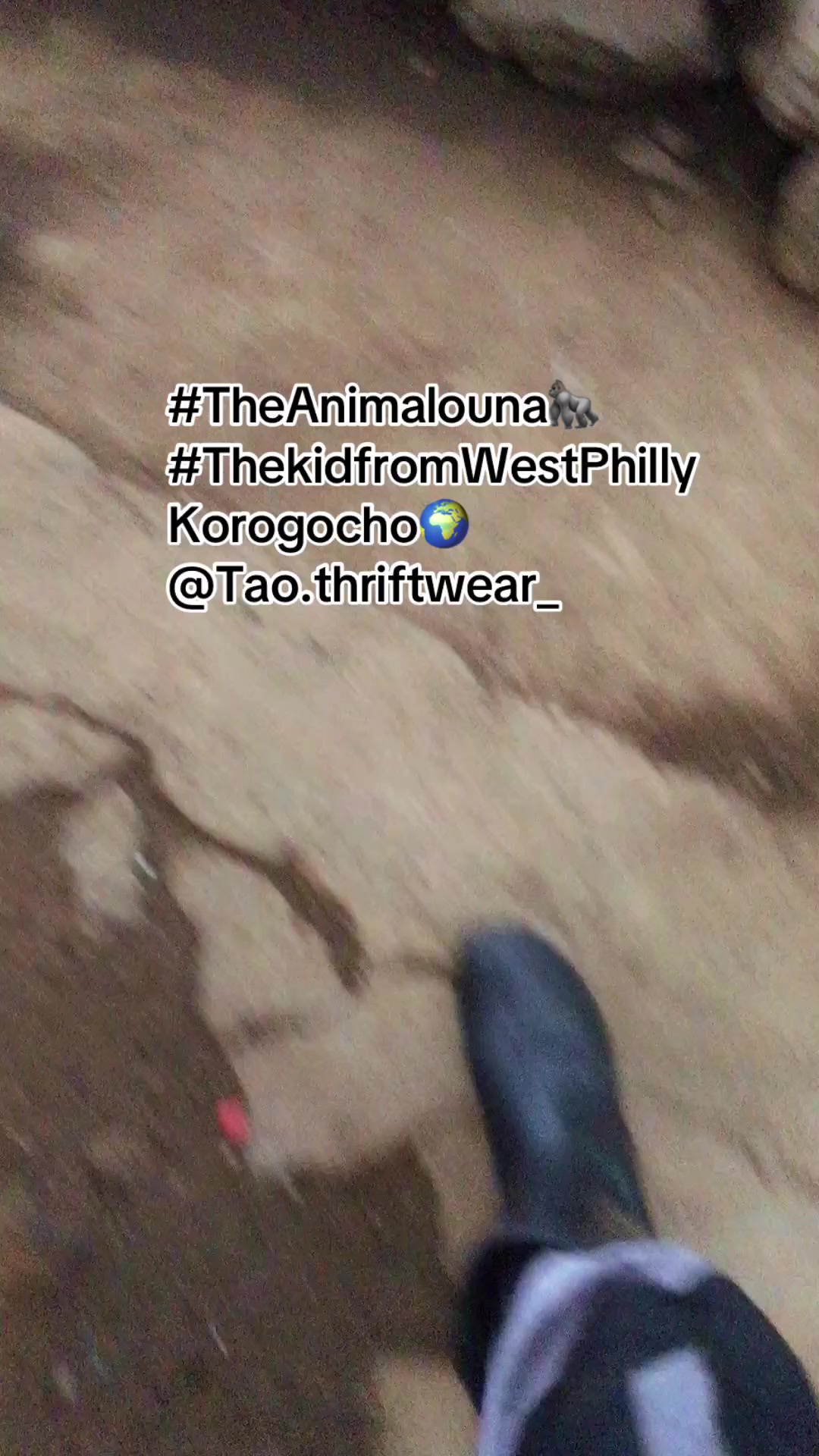 @TheAnimalOuna🦍…