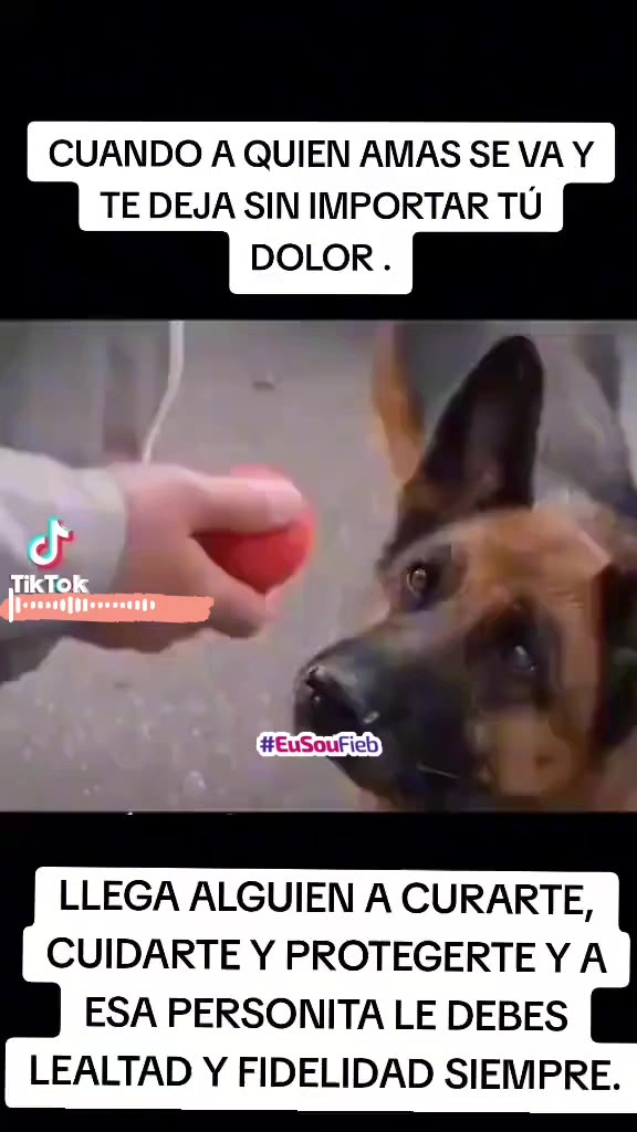 @Albert L