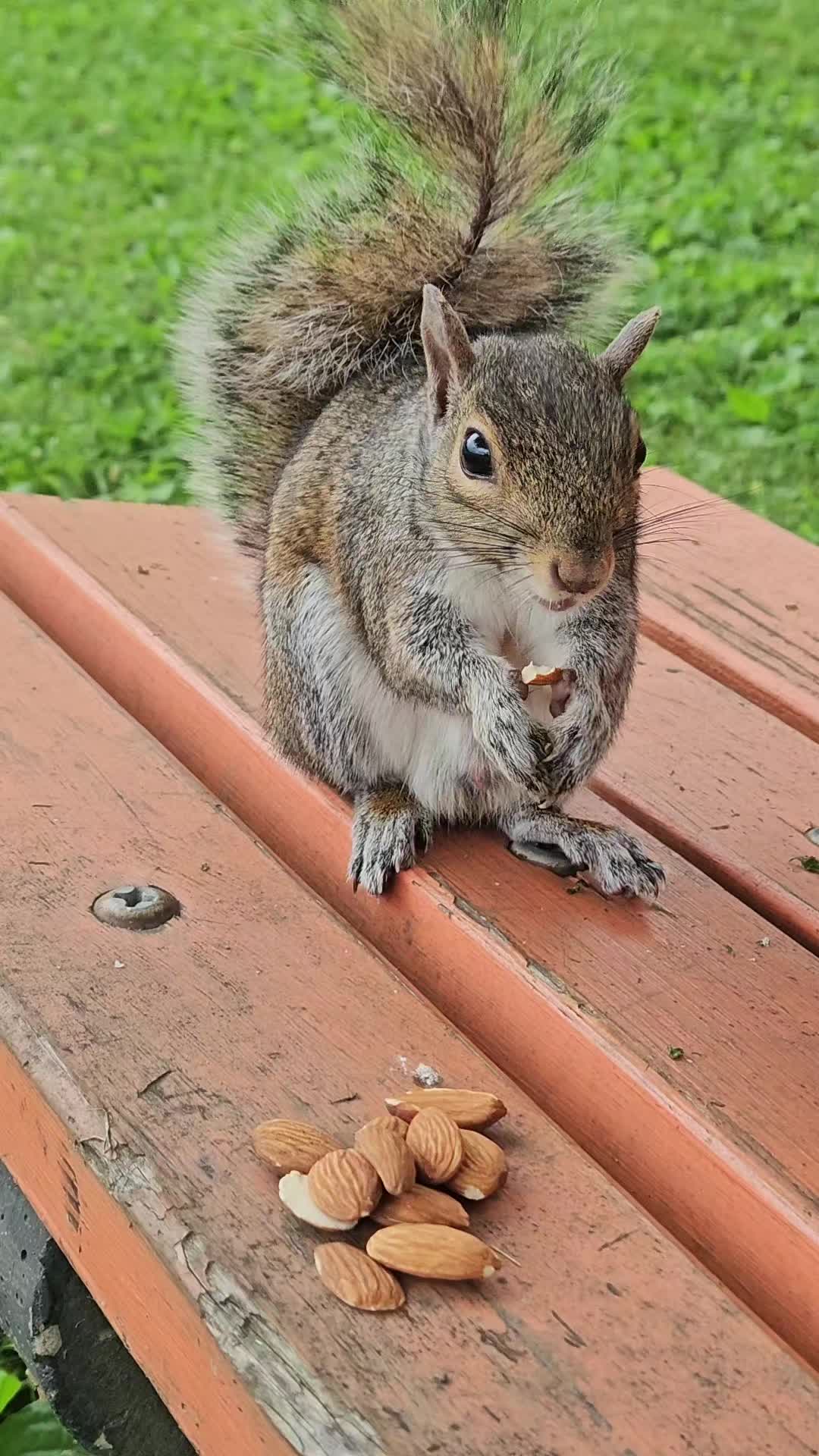 @cschultz2