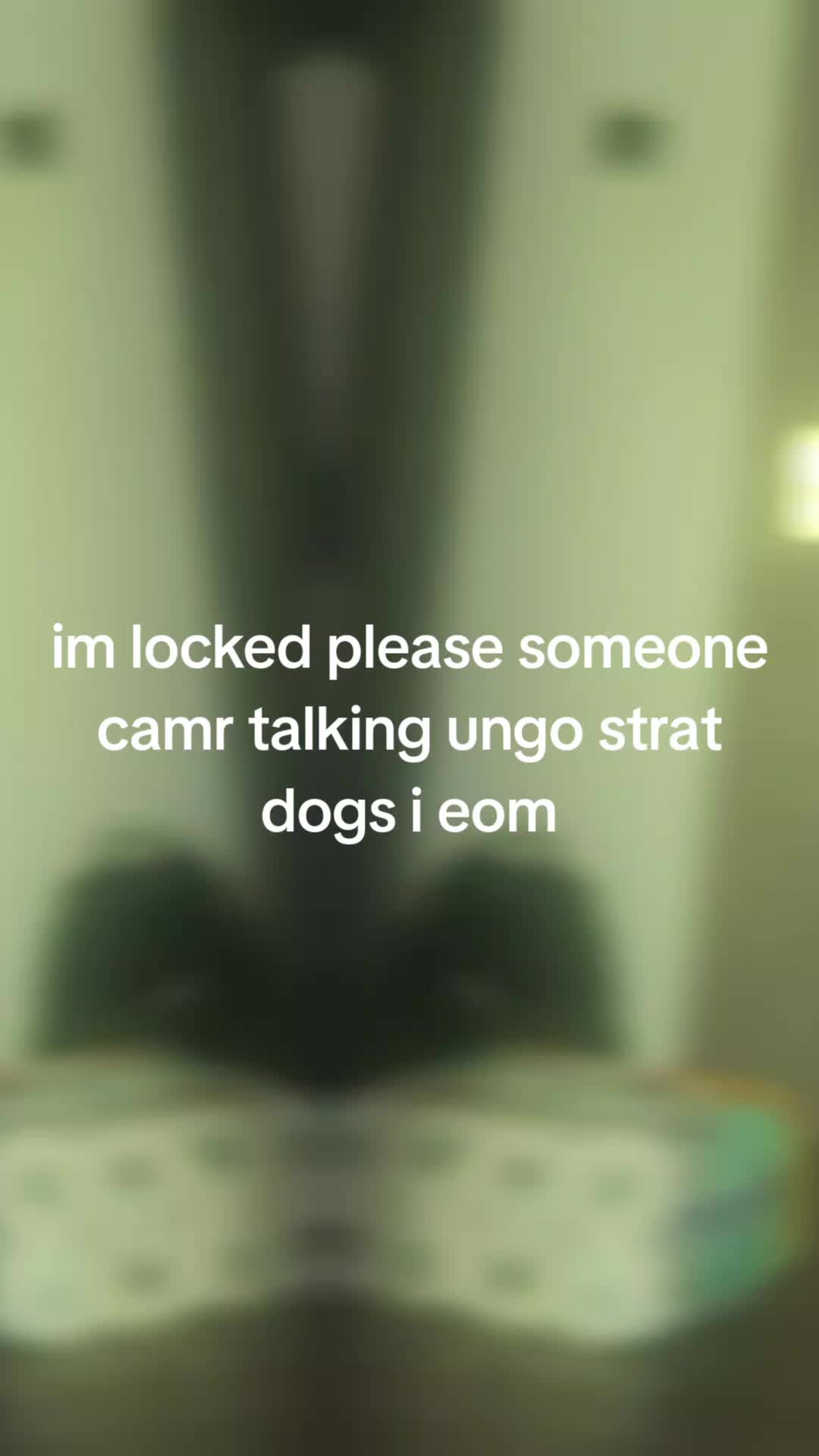 @Fumiumi