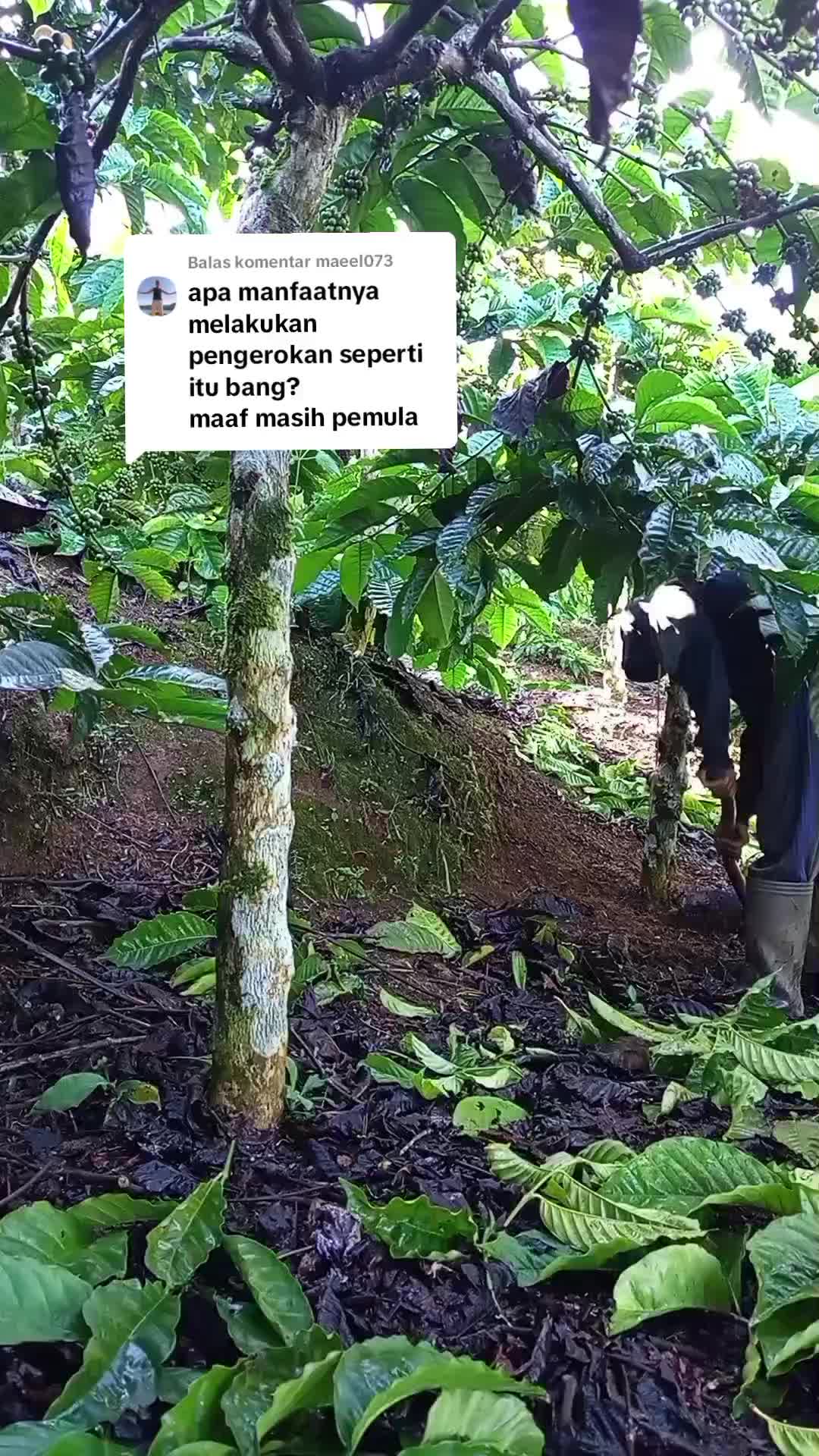 @PetaniMuda
