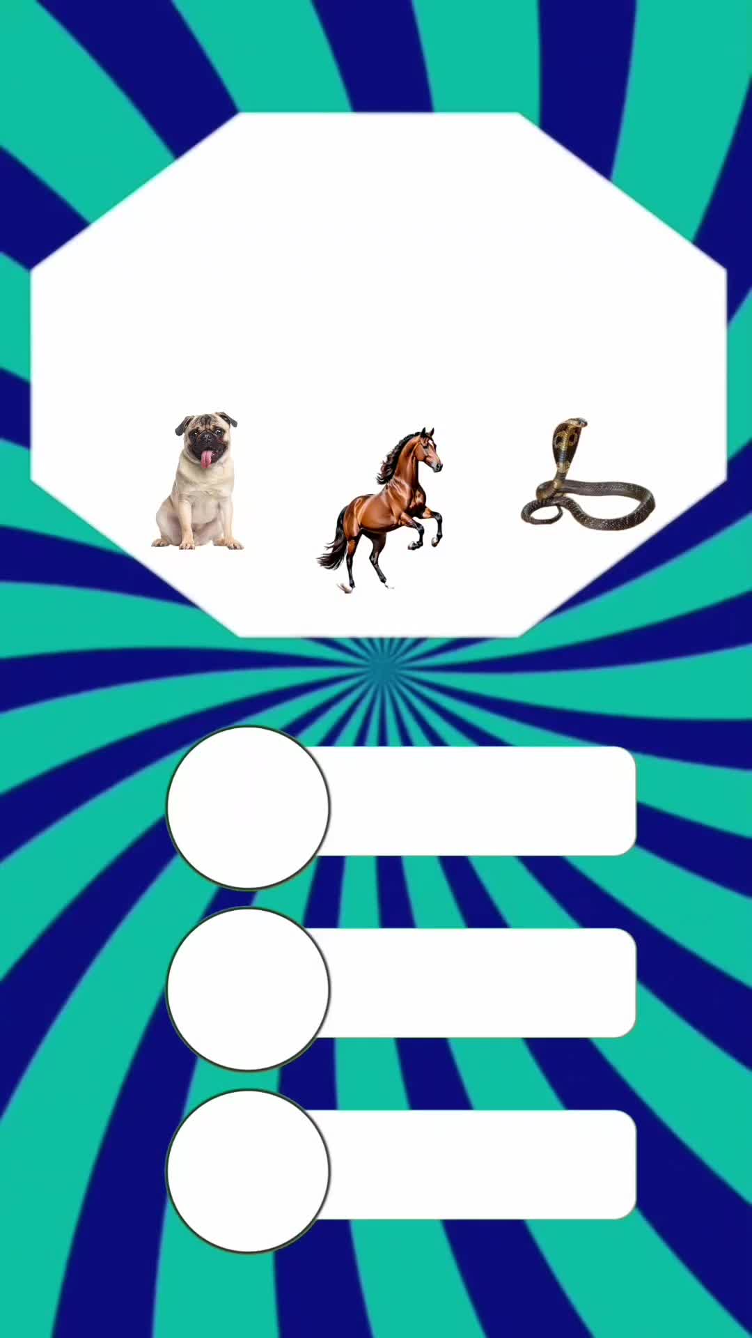 @DailyQuizMaster