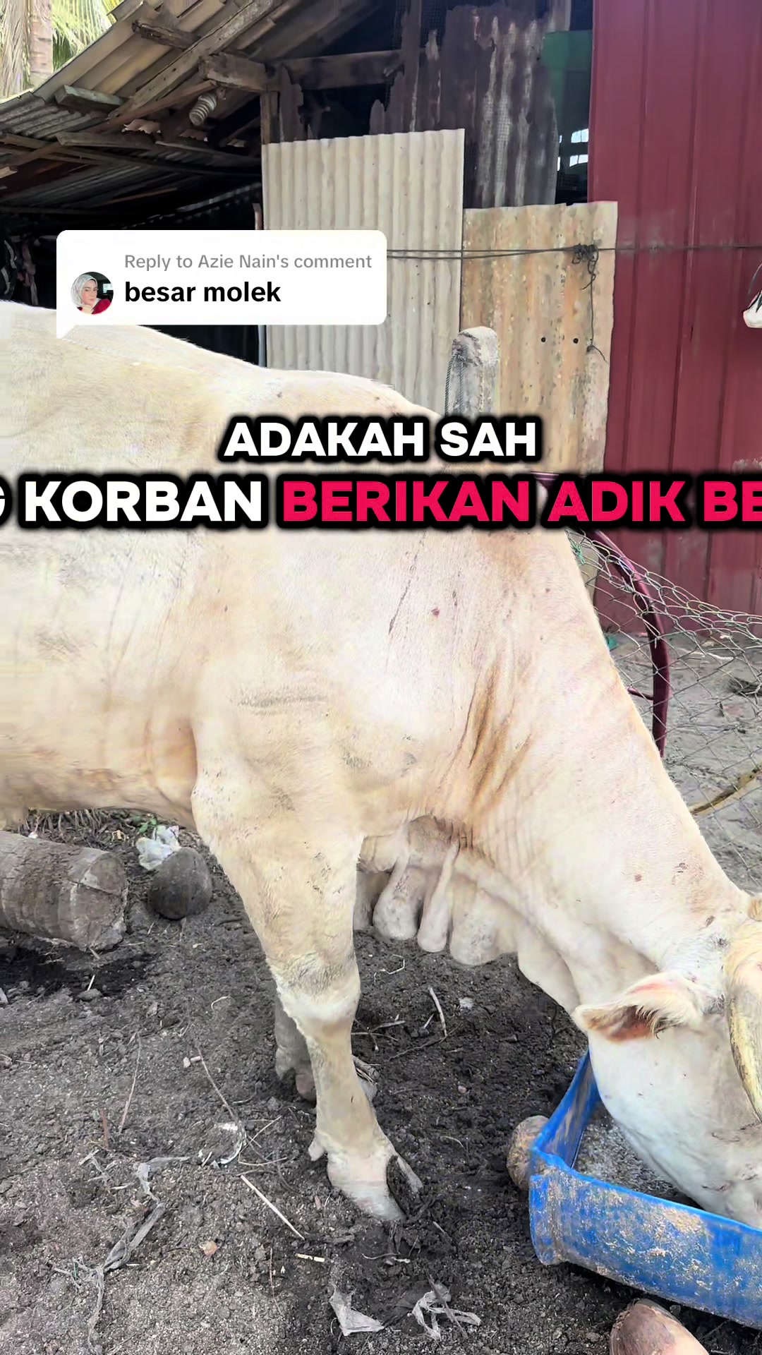 @Azam Hazman