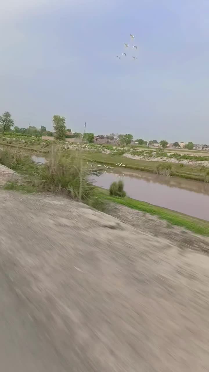 @Rana Muneeb Ullah