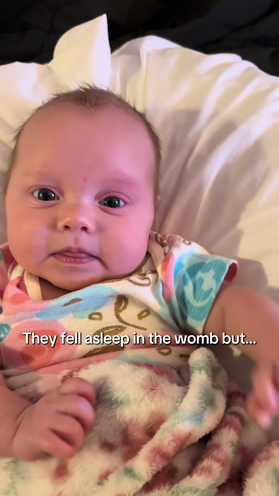 @Herr Triplets | Vanna Lee