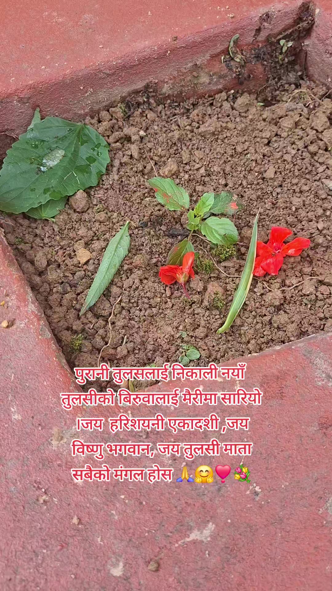 @Basanta🦋❤️