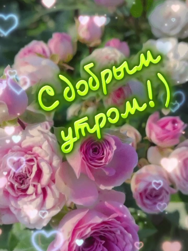 @ALEKSA