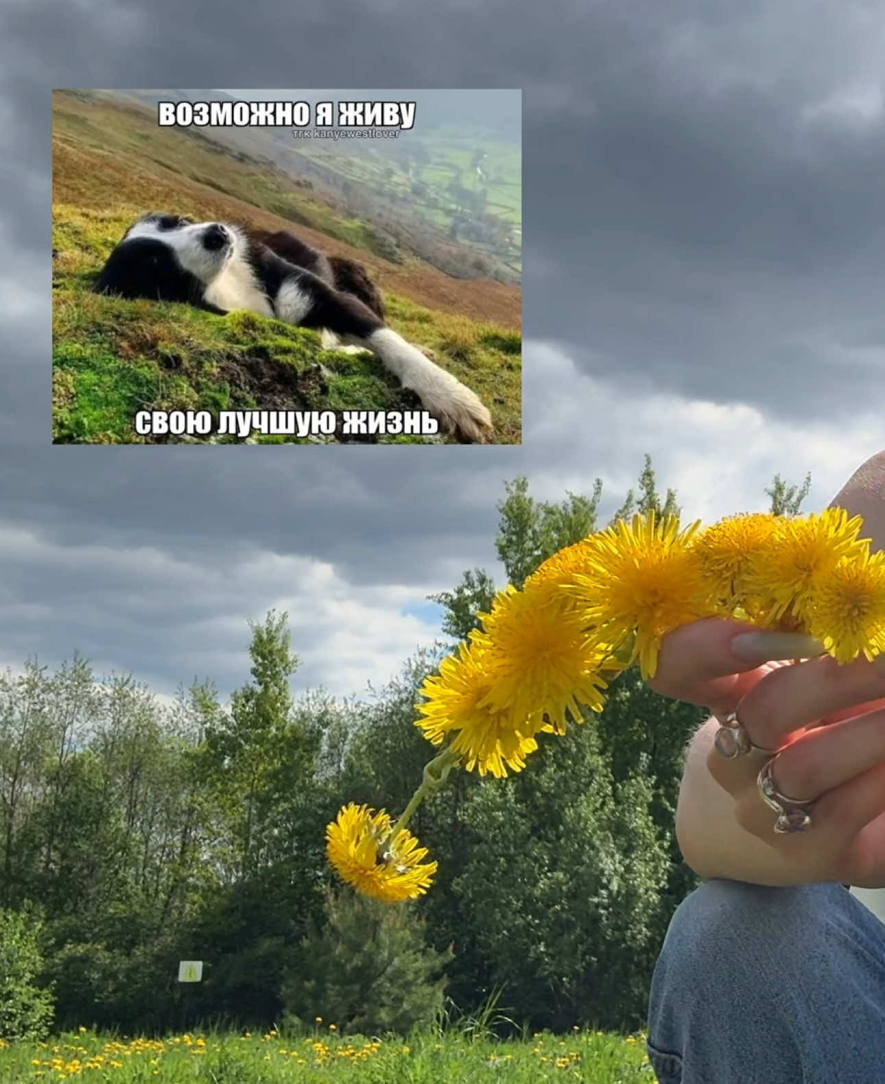@алена к