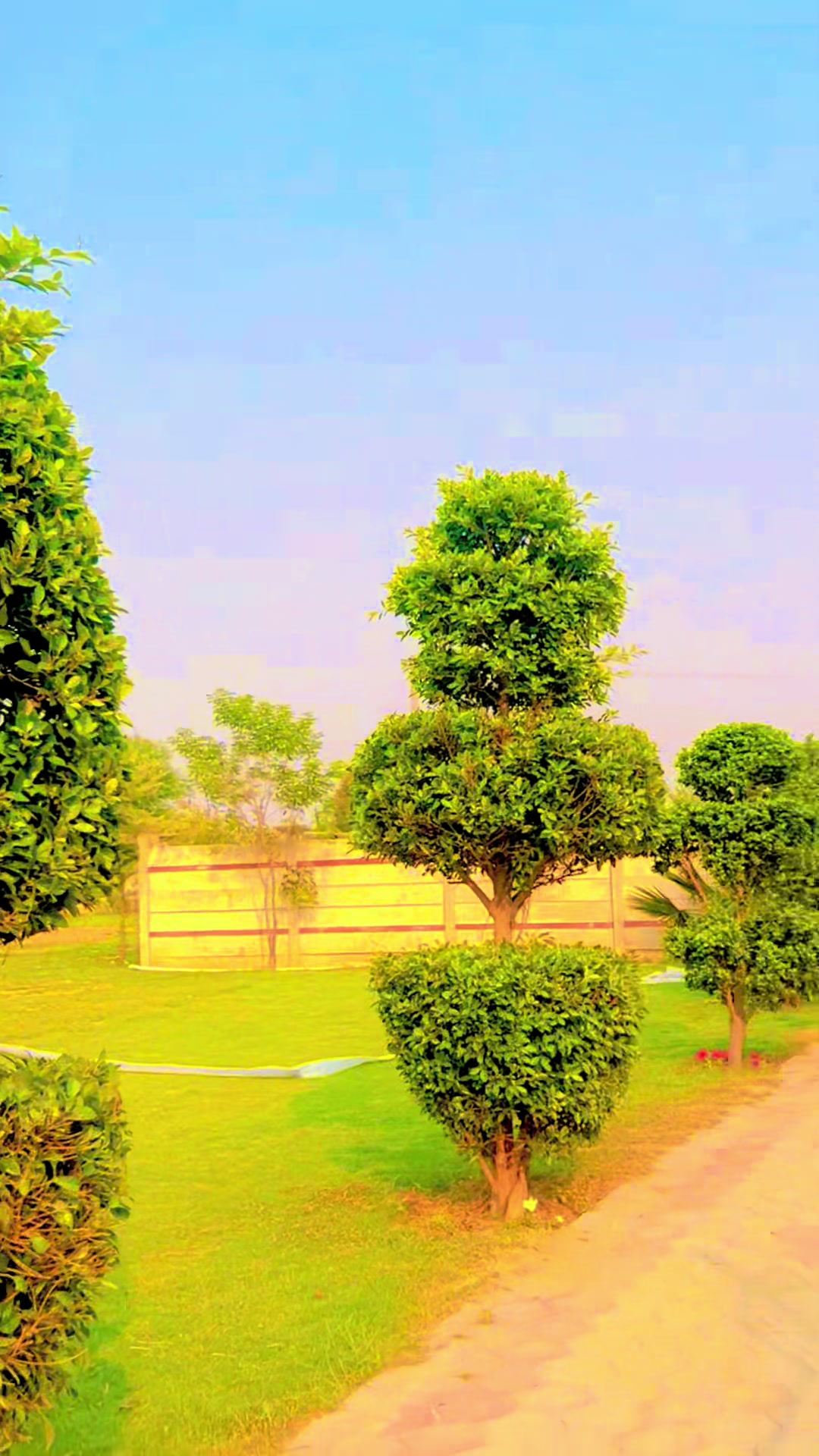 @Rai Asif Hayat khayalika