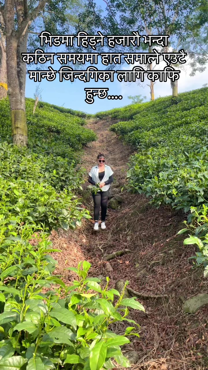 @tiktok-queen