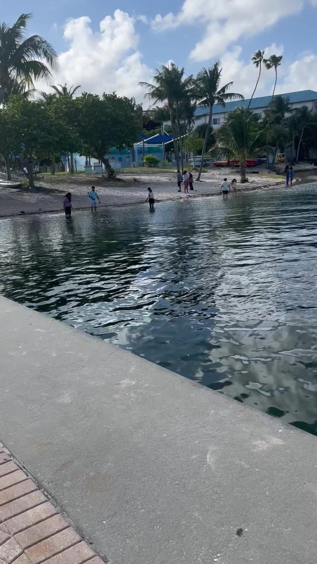 @Budhi Tamang