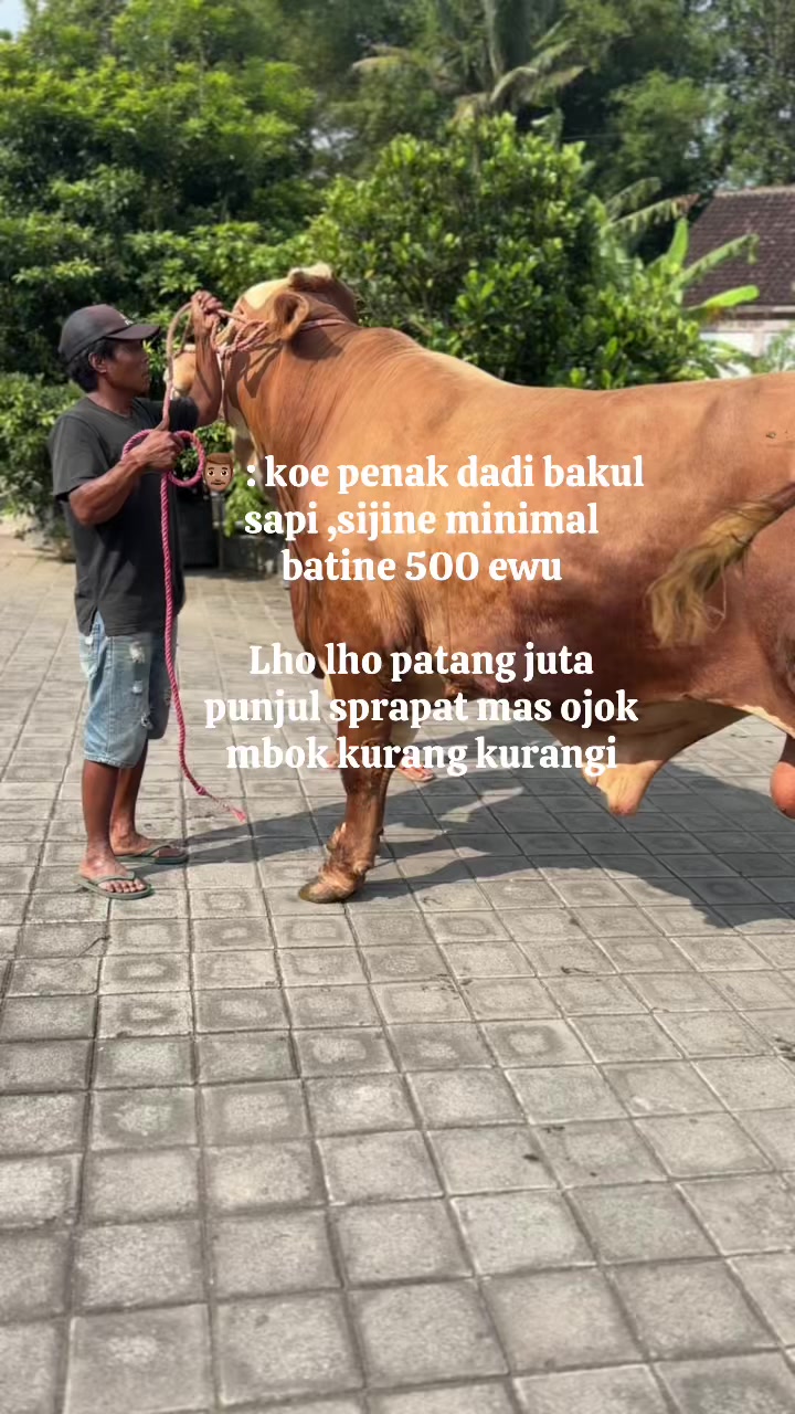 @BANDAR99_FARM