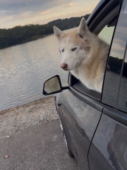 @freezinghusky