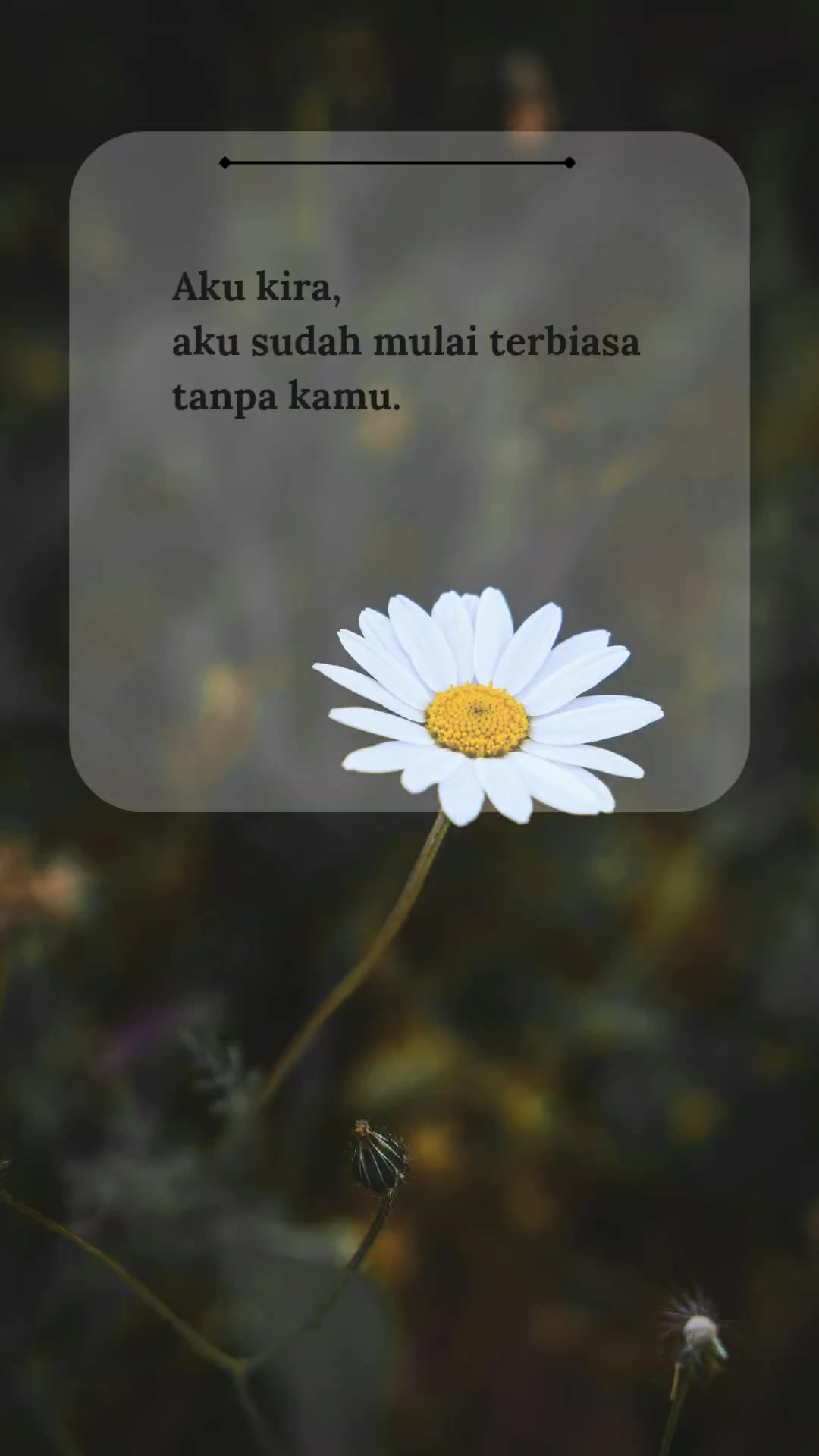 @SECARIK HENING