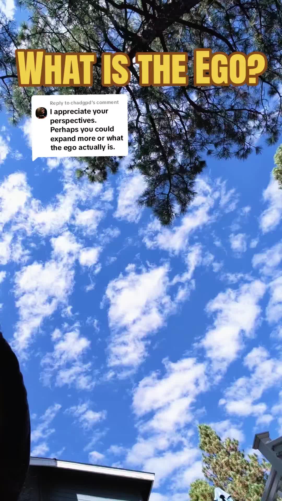 @The Cosmic Camp
