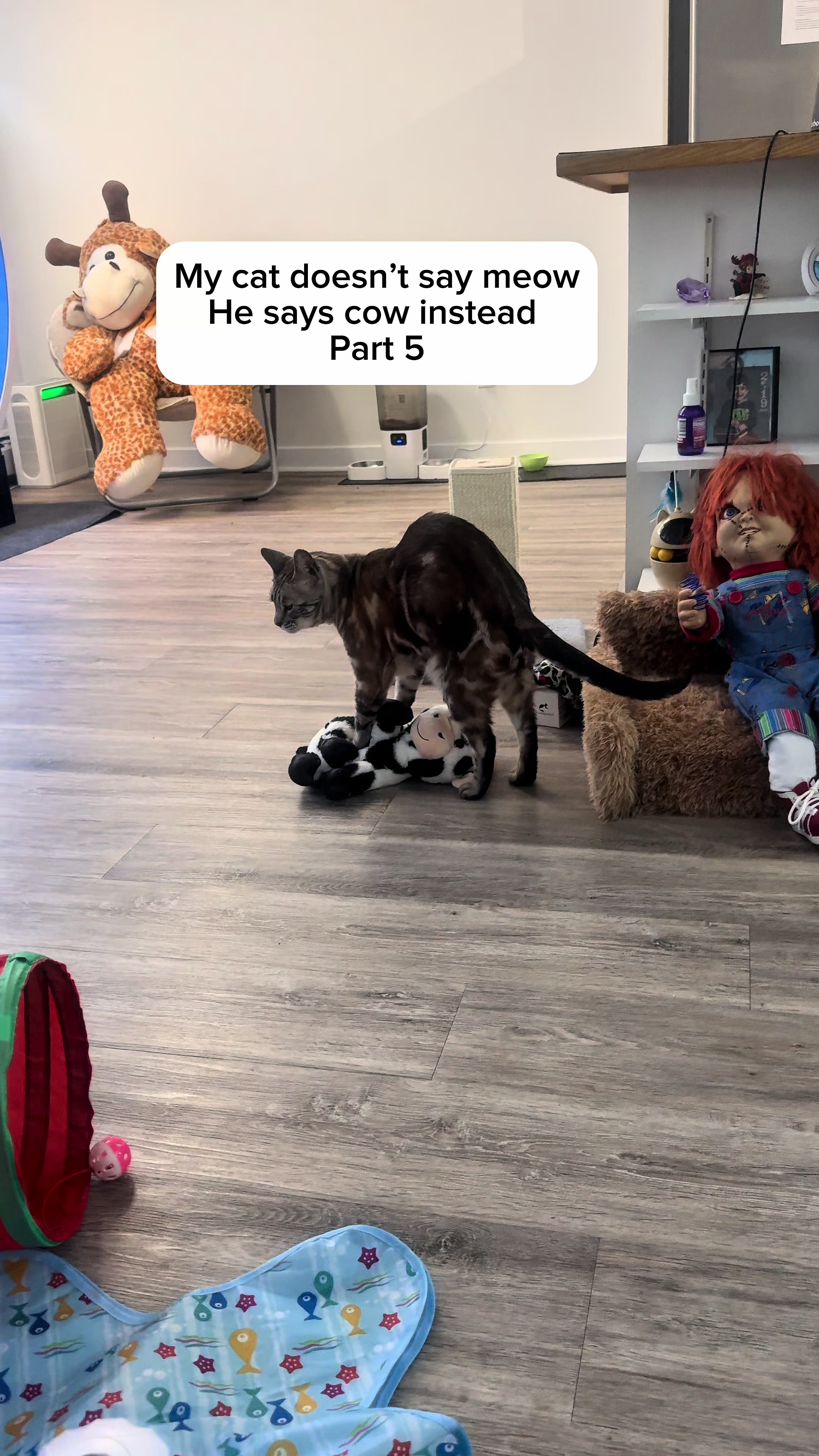 @Three Nawty Cats