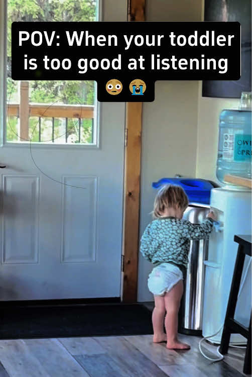 @funny.pets.babyone