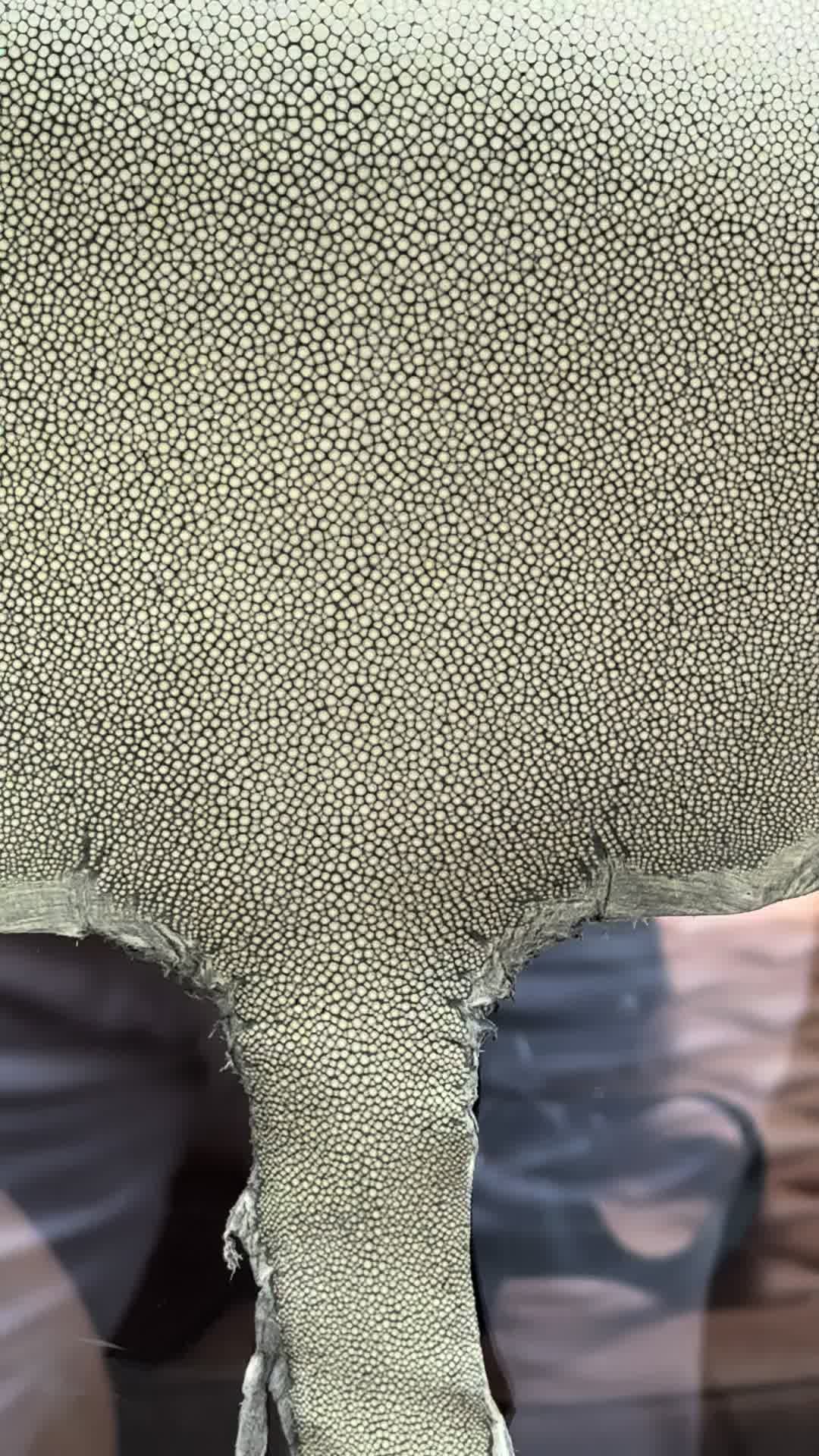@botasfr3