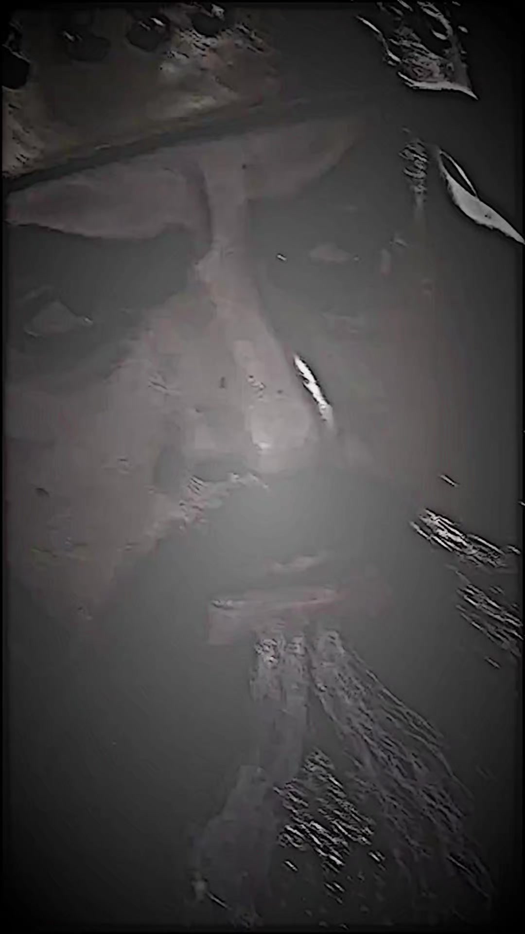@علوش