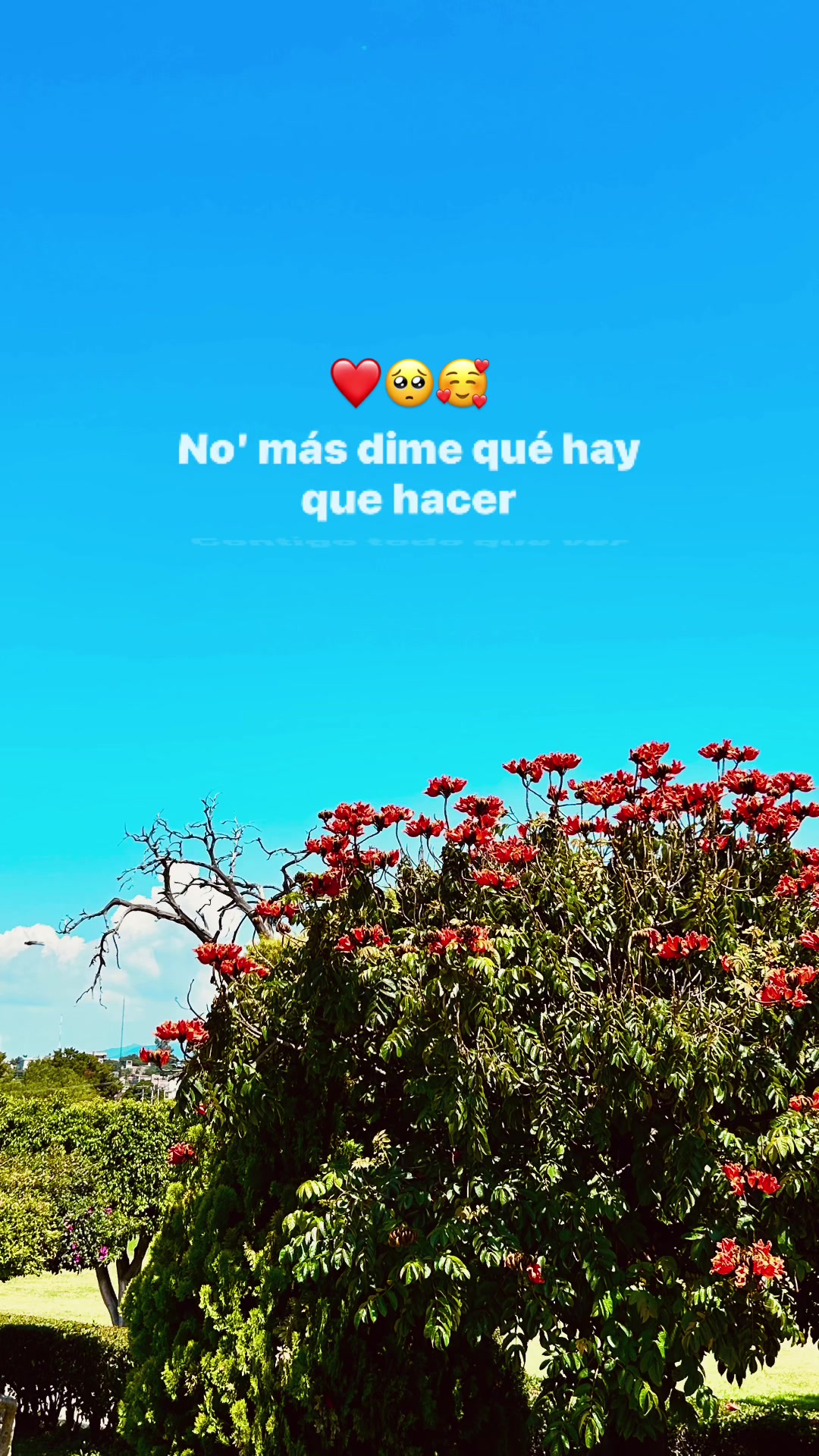 @lcia_65