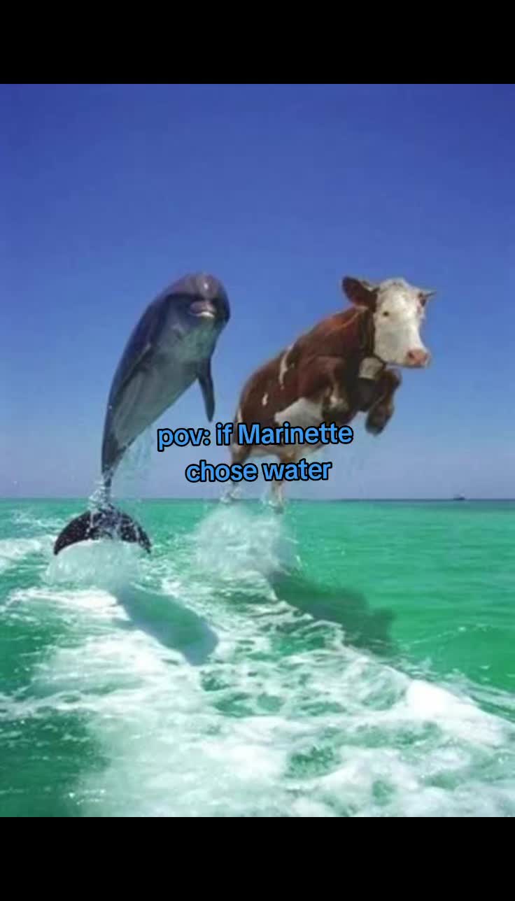 @Wammy