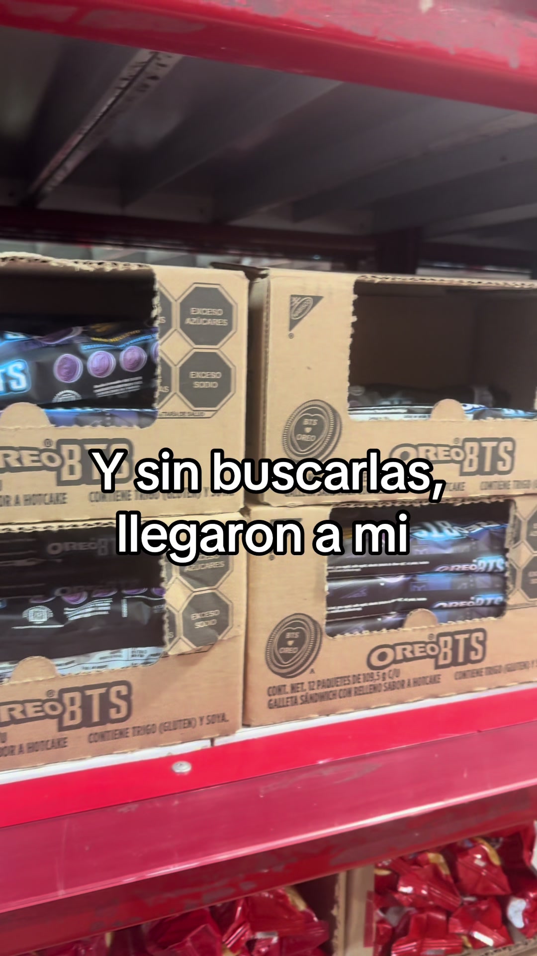 @Constanza Aboytes 보람