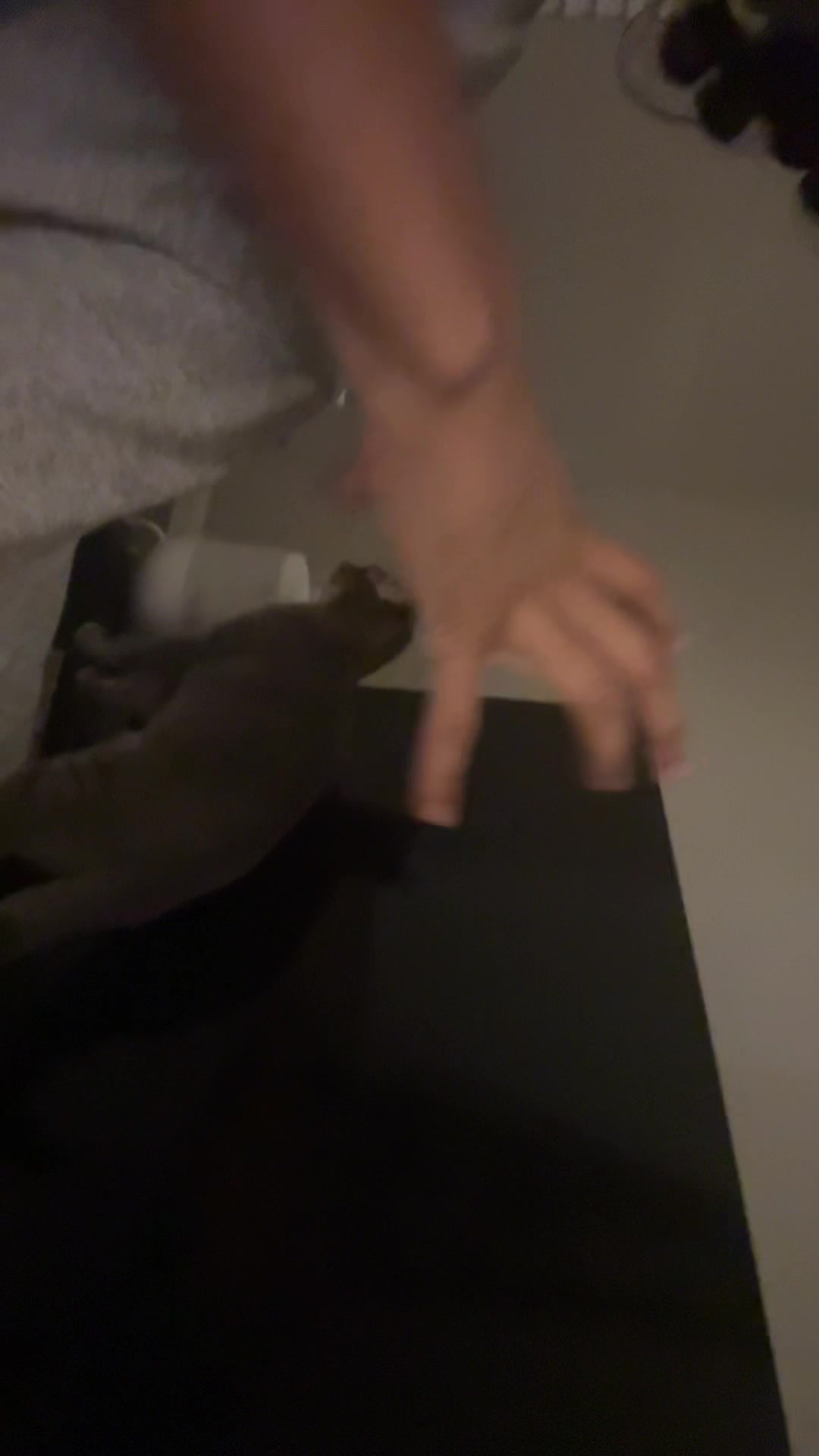 @mochakarmenlatte