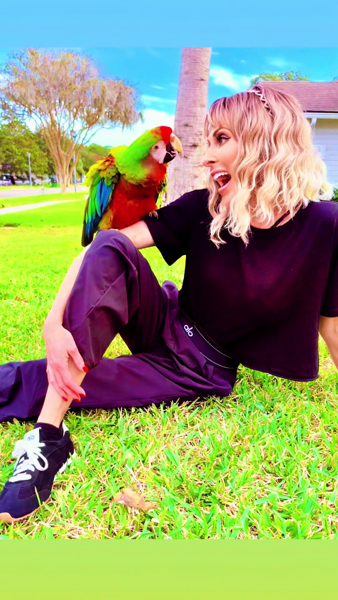 @RainbowParrotRescueFlorida