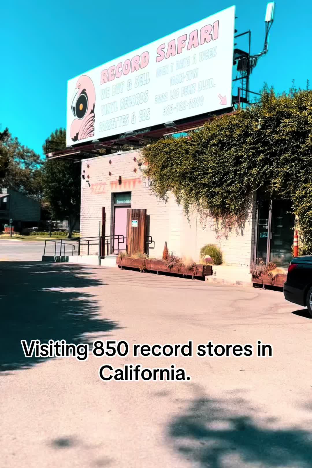 @49_classics