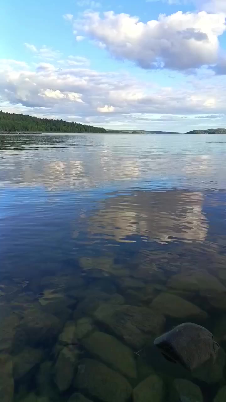 @Дмитрий Бондарь