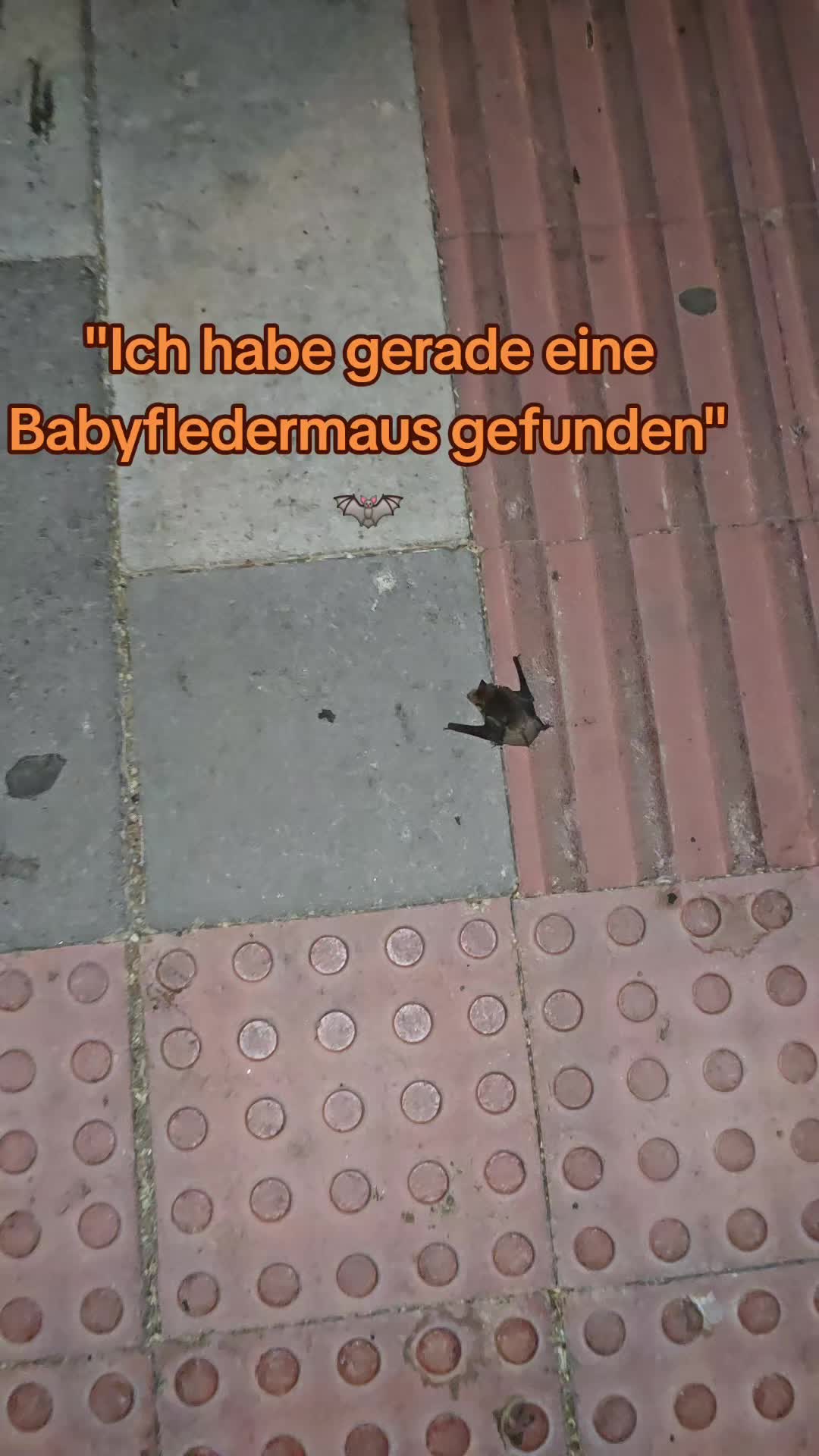 @Patvoe
