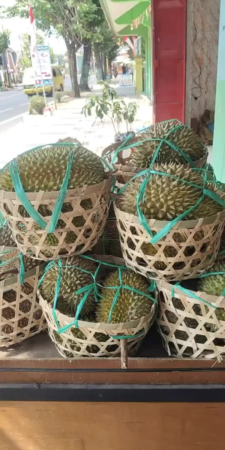 @Kenzhi Durian Tuban